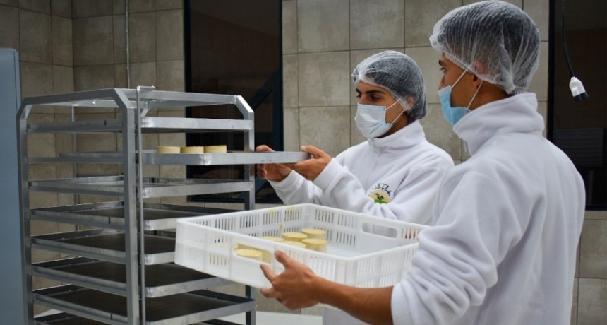 Inauguran primera fábrica regional que produce quesos 100% a base de plantas