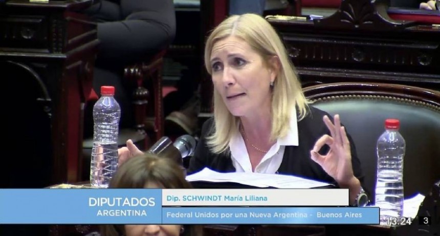 Renuncio Liliana Schwindt funcionaria kirchnerista