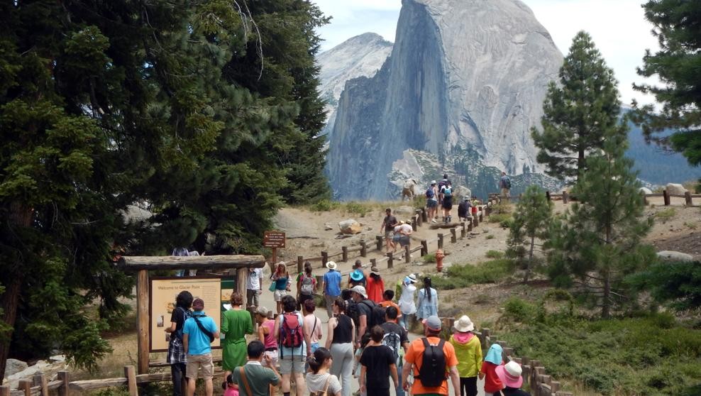 El ruido afecta a la conducta de numerosos animales