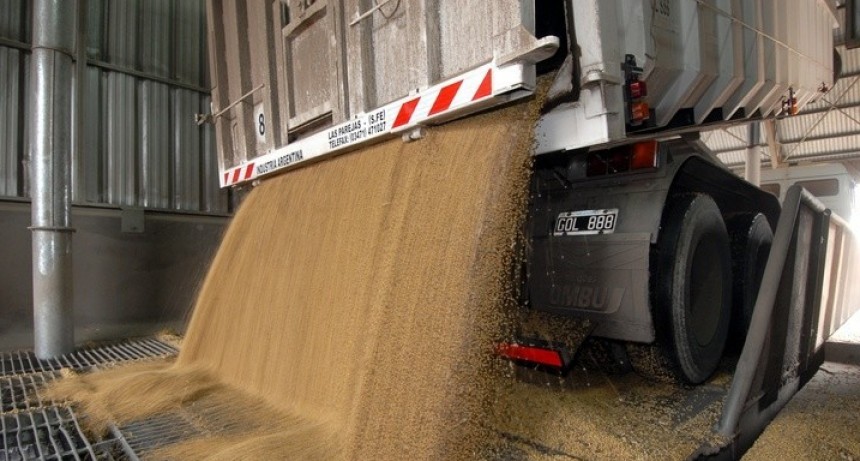 Creció un 25% la liquidación de divisas de los exportadores del agro
