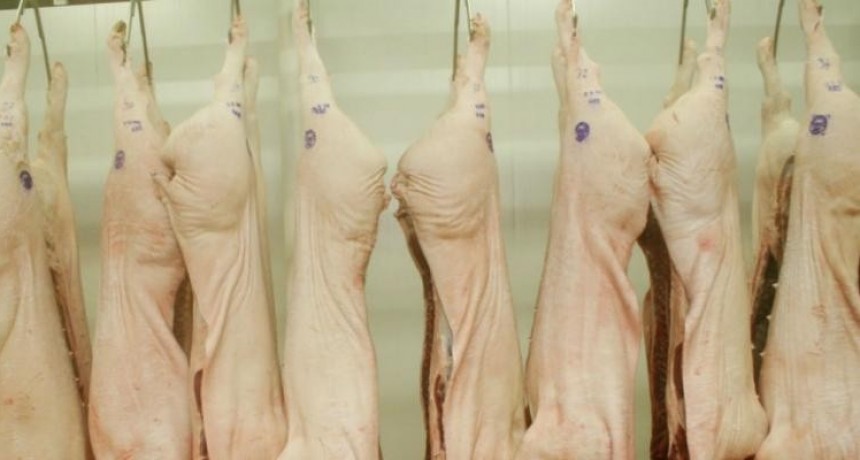 La faena del cerdo aumentó un 28,5% en tres años 