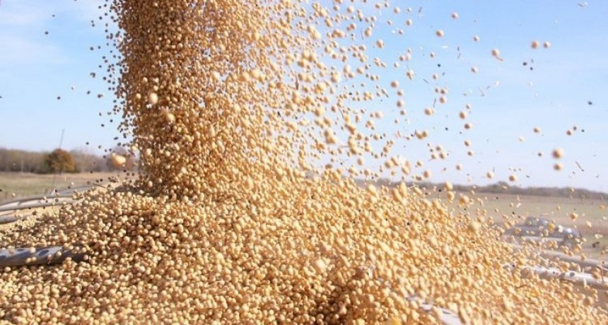 La soja subió casi un 2% en la Bolsa de Chicago