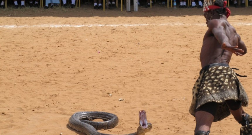 El hombre domador de  serpiente