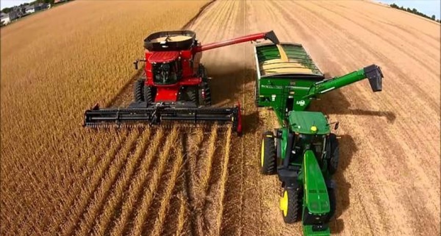 La producción mundial de trigo superará al consumo