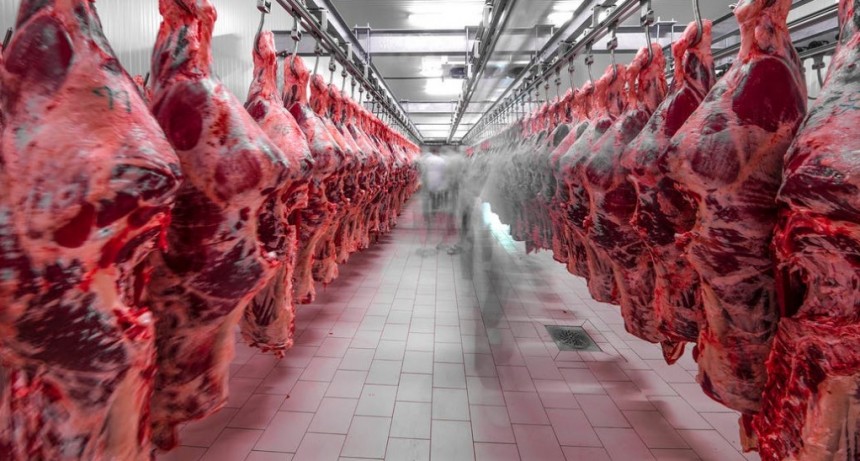 El acuerdo Mercosur-UE como favorece a la carne 