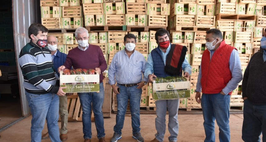 Salta elabora un plan tributario para desarrollar los municipios 