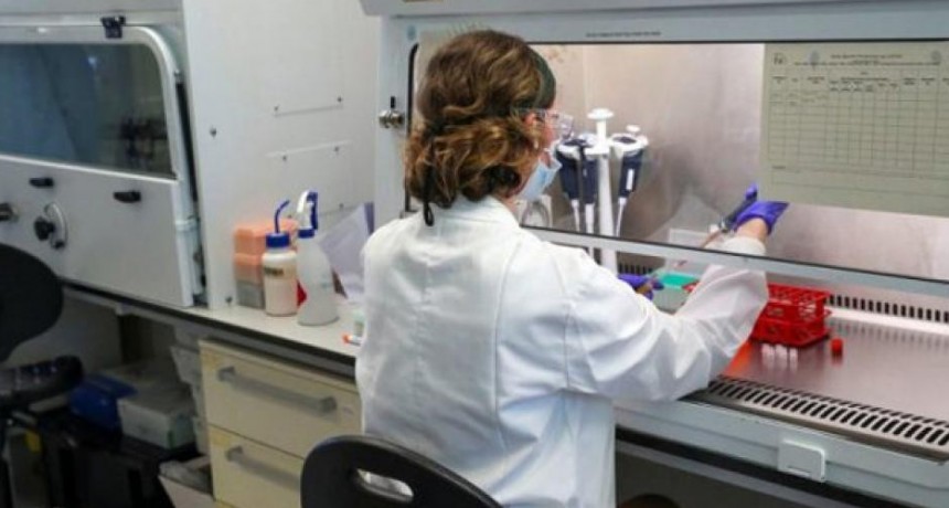 Salta: notificaron 475 casos nuevos de COVID-19 en las últimas 24 horas