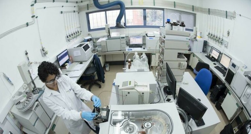  La variante Lambda llegó a la Argentina