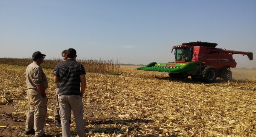 El campo aportó el 61,8% de lo que produciò al Estado 