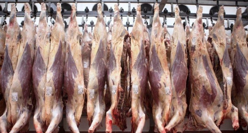 Anunciarán un plan ganadero para subir la producción