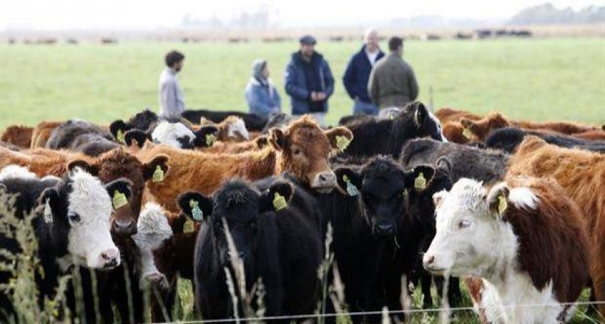Qué pasará con los precios de la carne y la producción 