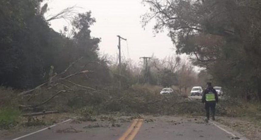 El Gobierno asistió a distintas zonas afectadas por fuertes ráfagas de viento zonda