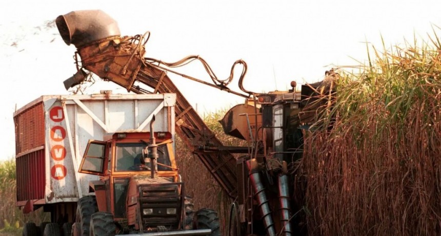 Ingenios muelen el 30% de la caña de azúcar por la falta de gasoil 
