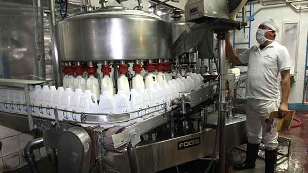 Día Mundial de la Leche