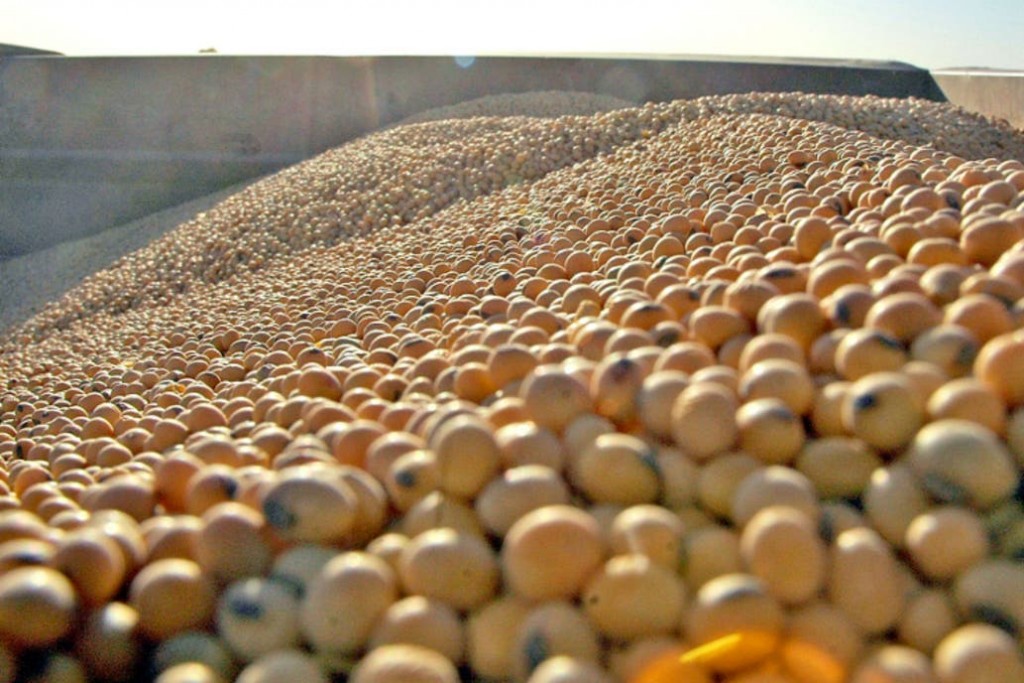 Las exportaciones de soja 2018/19 crecerán 35%