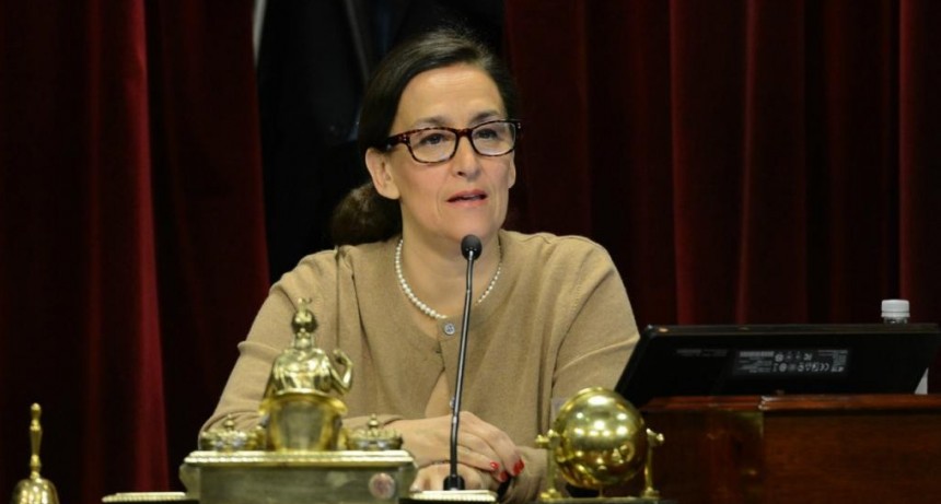 Michetti elimina canje de pasajes a los Senadores