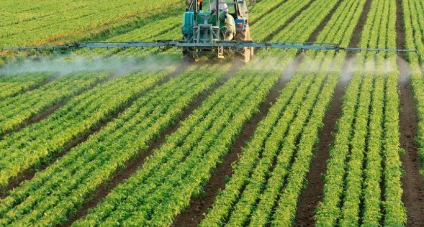 Creció un 2,6% la actividad económica