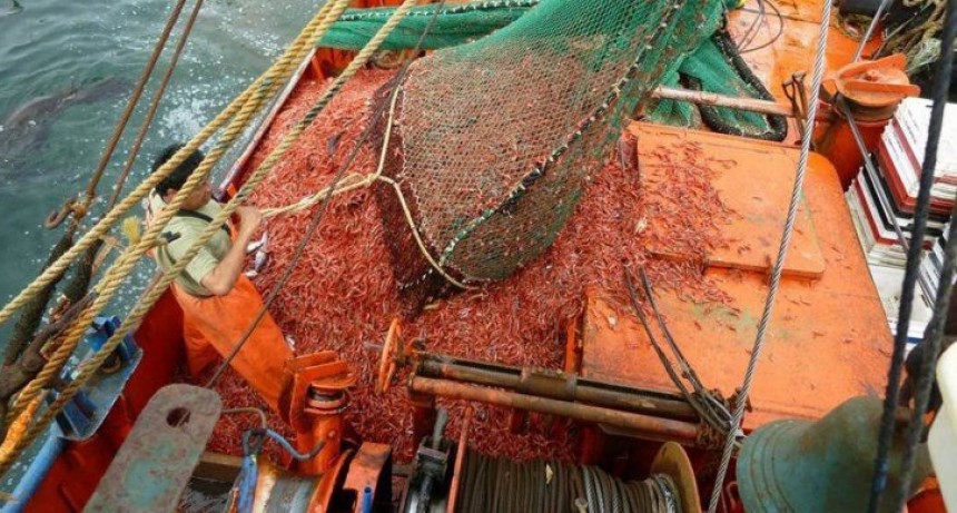 El paro sindical ponen en riesgo la temporada de pesca del langostino