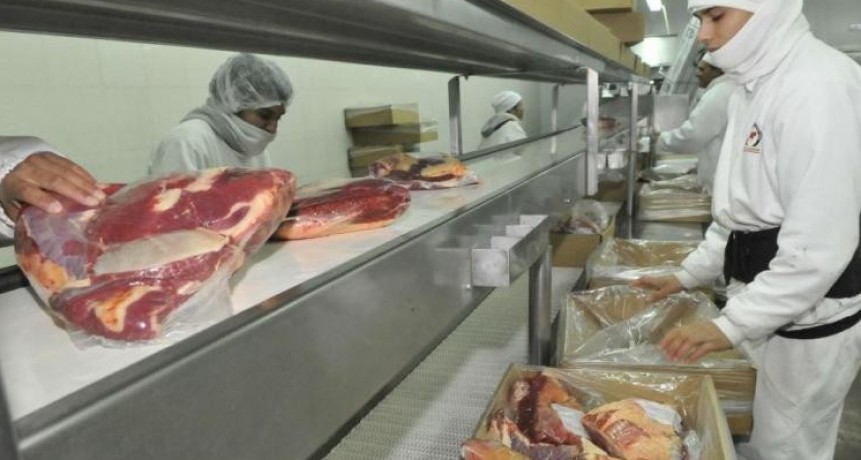 La exportación de carne bovina obliga a recalcular el consumo interno