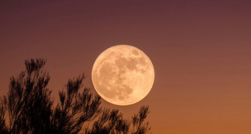 Científicos describen masa gelatinosa de la luna