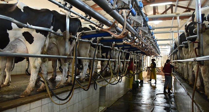 La producción de leche creció casi 10% en el primer semestre