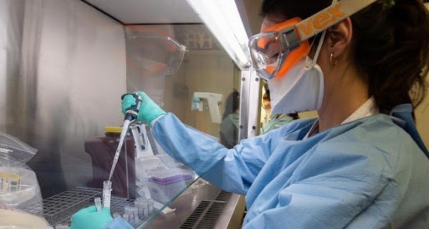 La Provincia activo 11 protocolos y permanecen 11 muestras en estudio