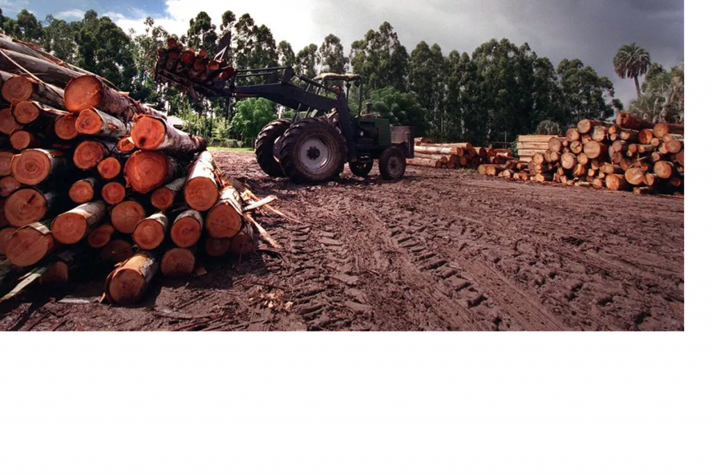 En la industria maderera anticipan vacaciones por la falta de insumos para producir