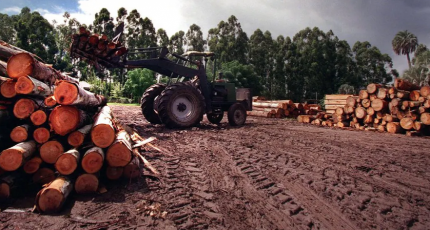 En la industria maderera anticipan vacaciones por la falta de insumos para producir