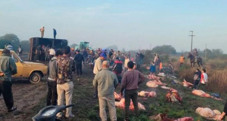 Volcó un camión con vacunos, y los vecinos faenaron a los animales