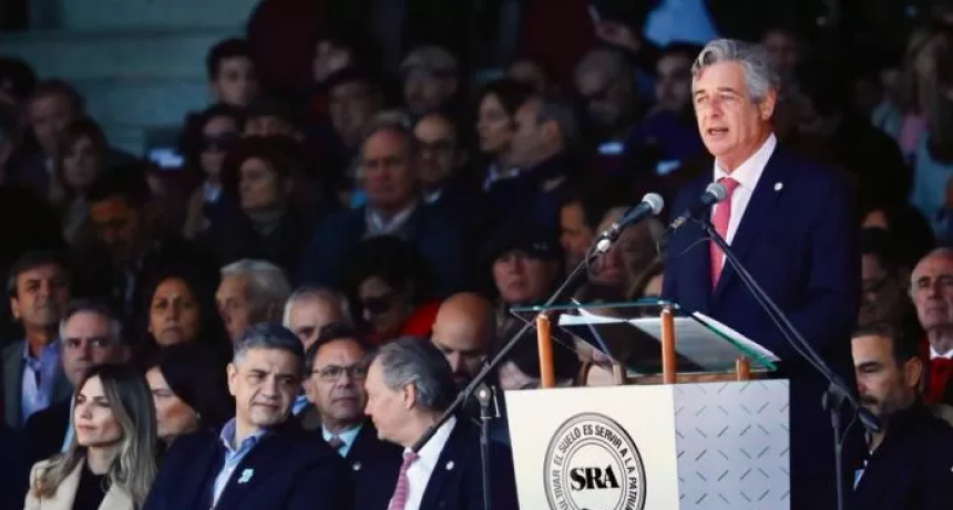 Nicolas Pino: criticó a los 'falsos propagandistas'