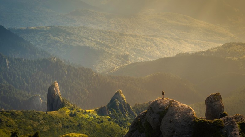 Intangibilidad del medio ambiente: Querer no es poder