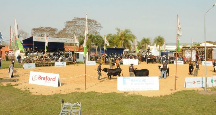 La Rural de Corrientes con fuerte apuesta ganadera