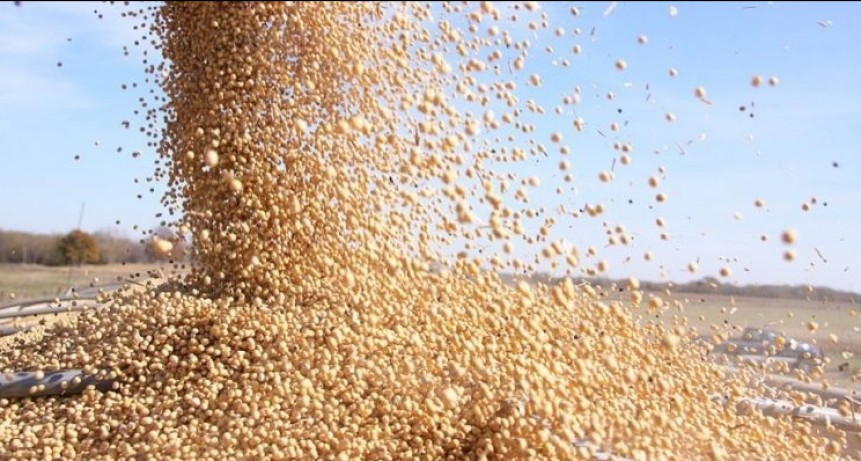 La cosecha de granos aportaría US$25.500 millones