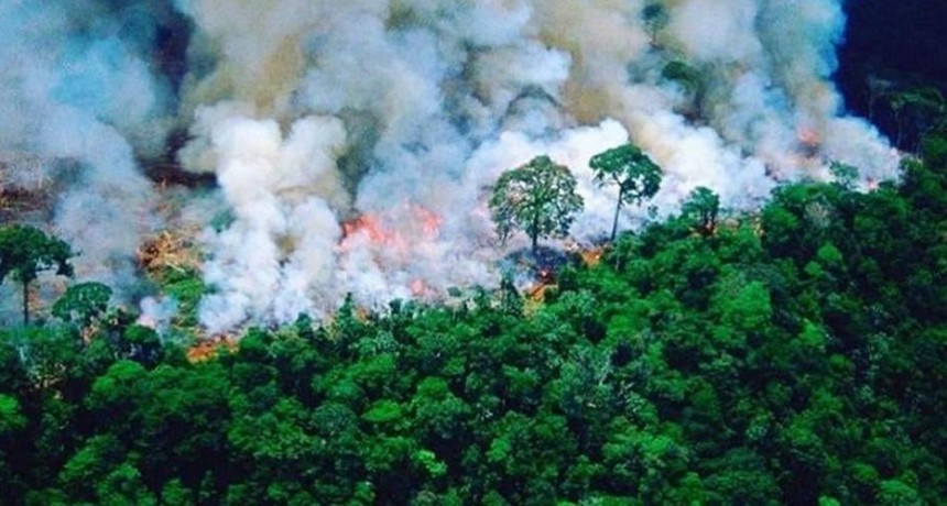 Llegó al Norte de la Argentina el humo de la Amazona