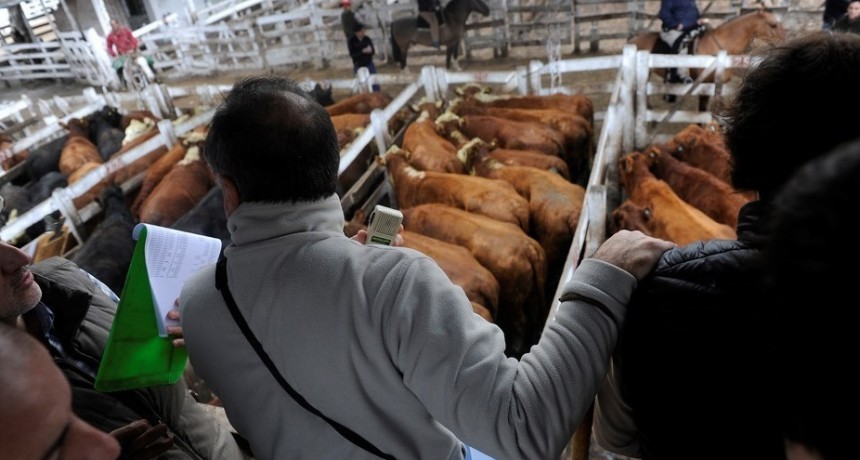 El Mercado de Linier opero en baja