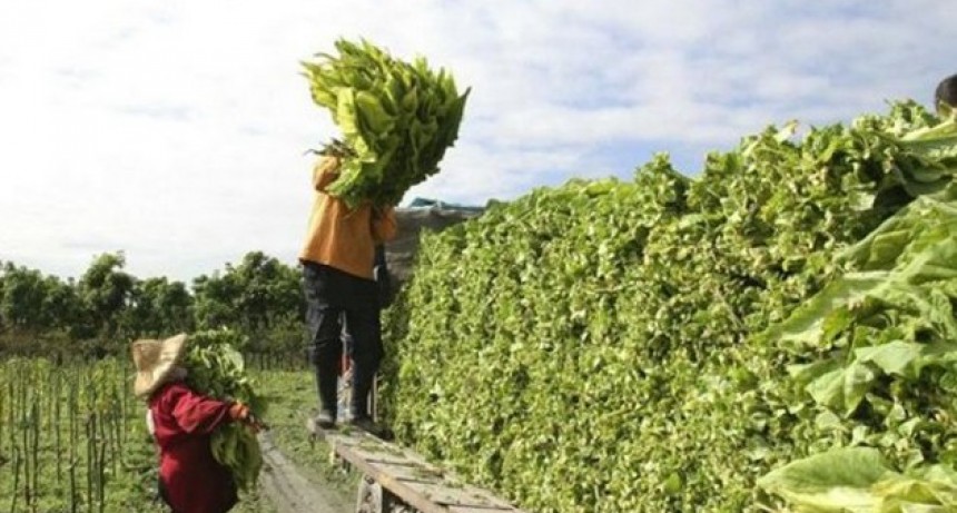 Tabacaleros expusieron en Diputados los problemas del sector