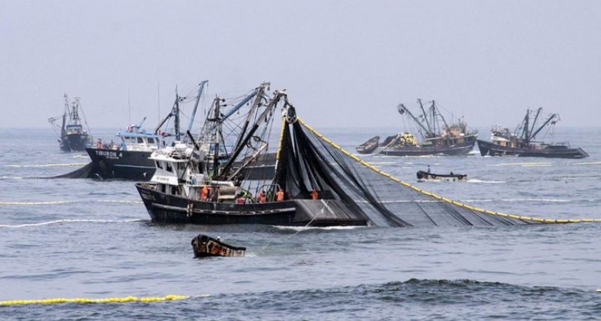 Argentina pierde al menos US$ 2 mil millones por año a causa de la pesca ilegal y la no reglamentada