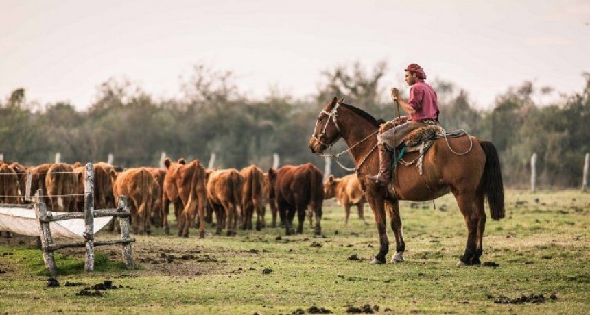 Alberto Fernández lanza en Concordia un plan para trabajadores rurales