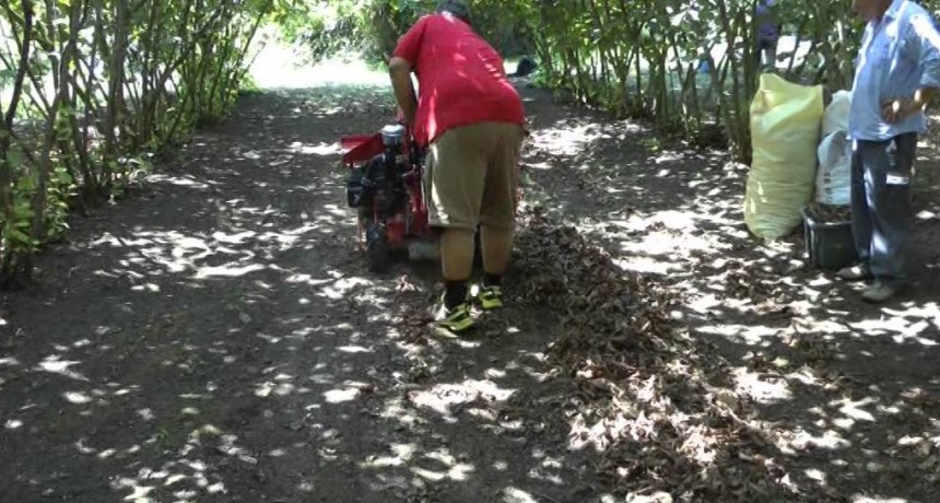 El mes de Agosto va ser récord en ingreso de divisas del agro