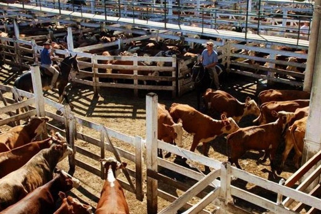 El Mercado de Cañuela cerro con valores similares a los del viernes