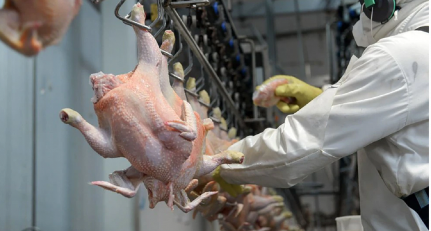 Los precios de la carne de vaca, de pollo y el huevos tienen nueva suba