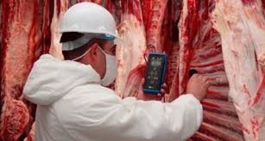 Argentina principal proveedor mundial a China de carne 
