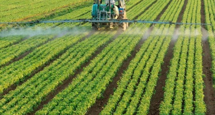    El financiamiento en dólares al campo logró un nivel récord
