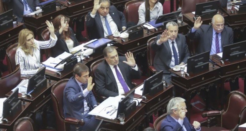 El Senado convirtió en ley la emergencia alimentaria