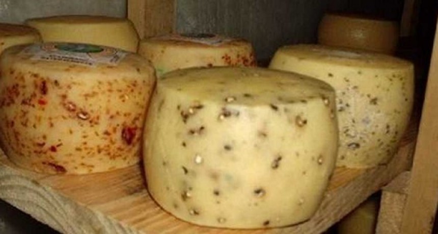 Comercializaran queso 
