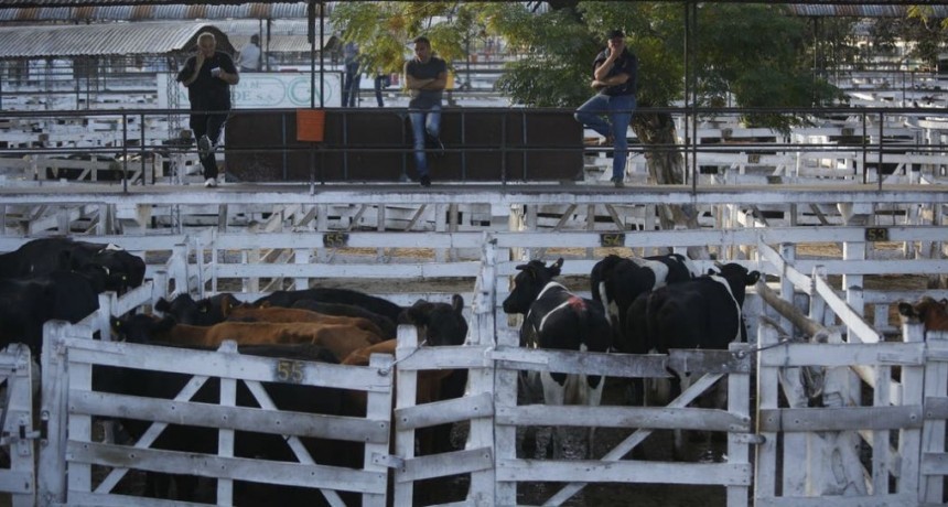  El Mercado de Liniers trabajó con oferta reducida 
