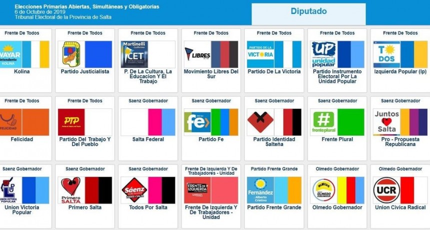 Quiénes se presenta en las PASO Provincial