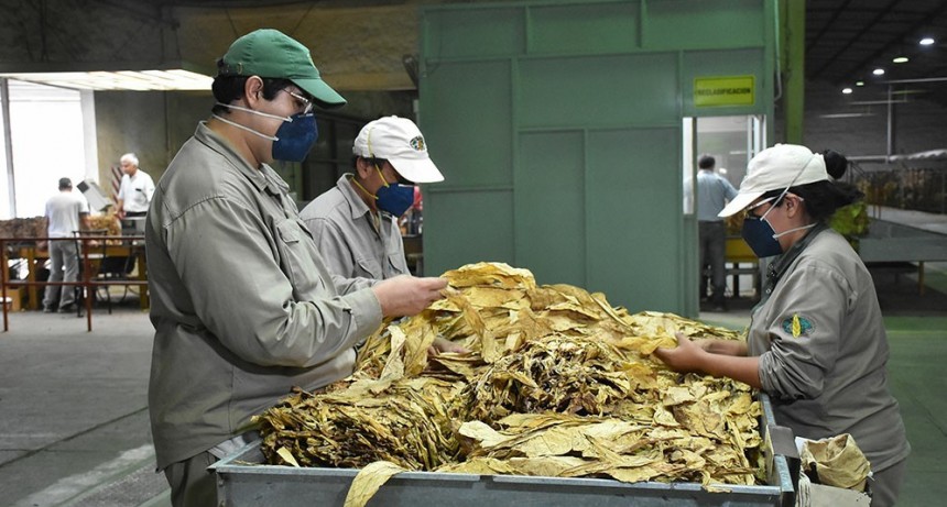 Comienza el pago del tabaco industria del Programa Intercosecha