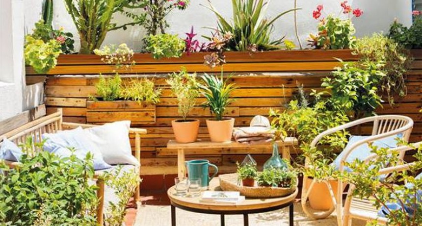 Pequeños espacios convertidos en jardines floridos