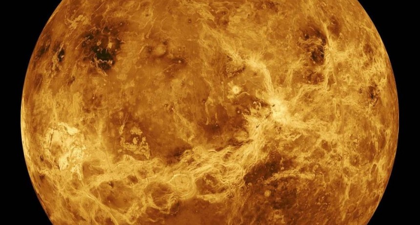 ¿Es posible la vida en Venus?: Hallan posibles indicios de vida  